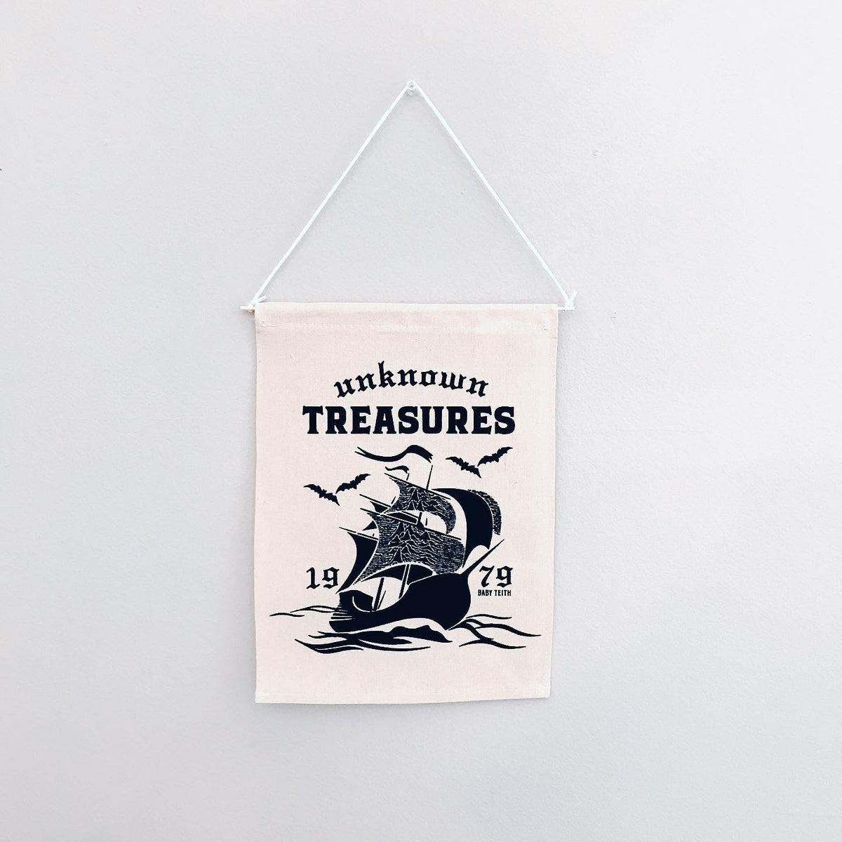 Unknown Treasures Canvas Banner - Baby Teith