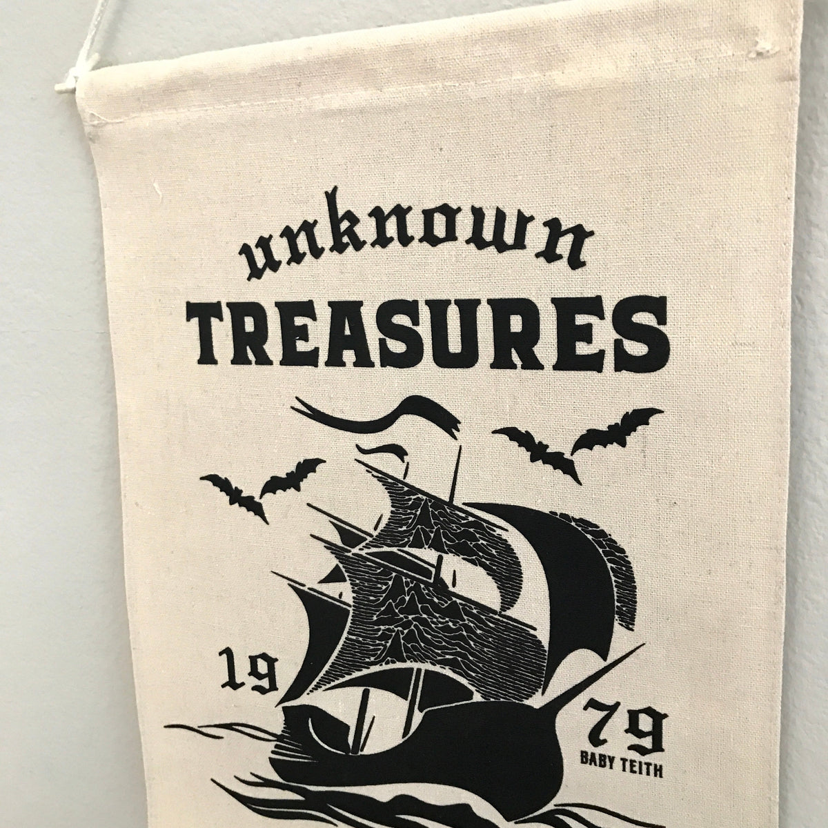 Unknown Treasures Canvas Banner - Baby Teith